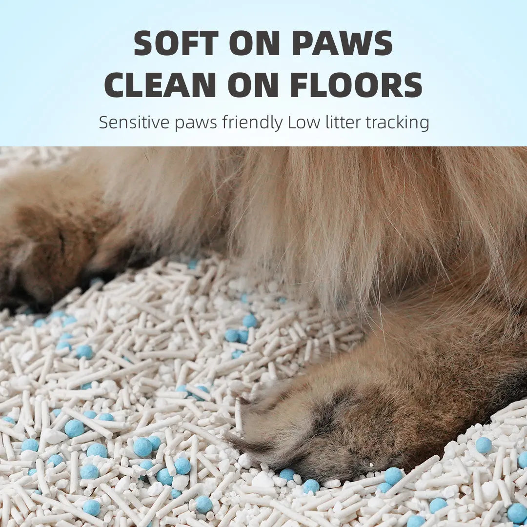 Zuttonyan 4-In-1 Eco-Friendly Vegan Cat Litter - Plant-Based Cassava & Tapioca, 31.8 lbs, Dust-Free, Scoopable, Highly Absorbent, Rapid Clumping, Non-Sticking, Instant Odor Control, Flushable