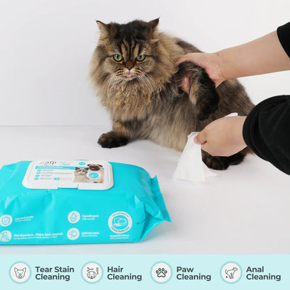 Allforpaws Coconut Vanilla Scented Pet Grooming Wipes - 100 Alcohol-Free Deodorizing Wipes with Jojoba & Coconut Oils for Safe Hydration and Odor Control