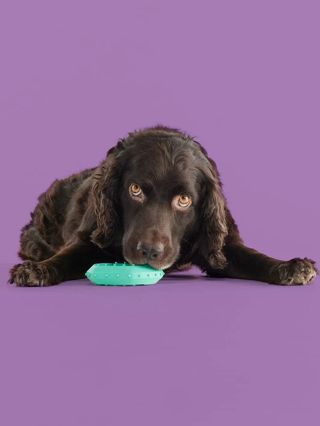 Yomp Chillchew Freezable Cooling Dog Toy – Perfect Teething & Chewing Solution for Soft and Medium Chewers, Made with Safe Non-Toxic Silicone