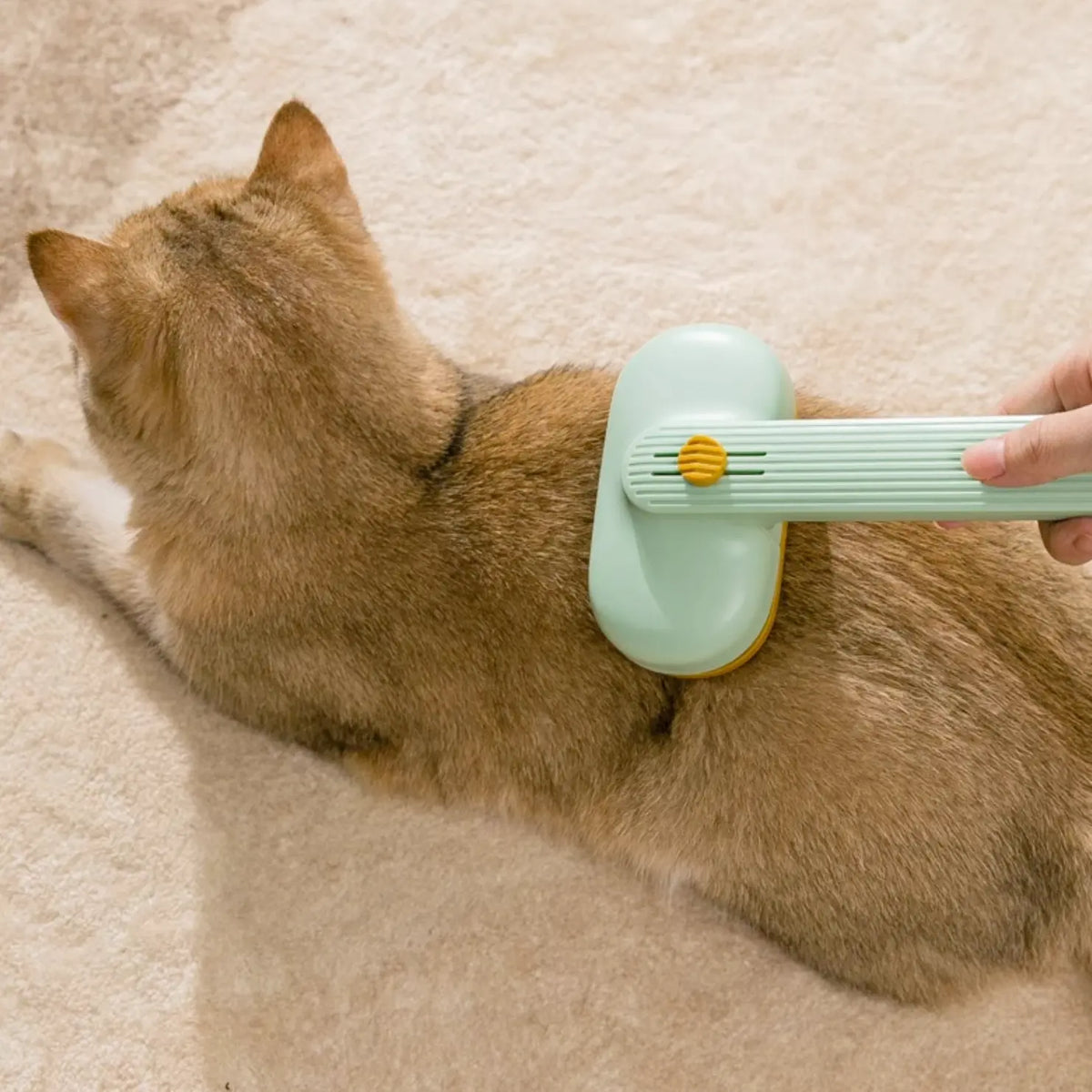 Self-Cleaning Cat and Dog Brush with Release Button - Perfect for Grooming Long & Short Haired Pets, Removes Loose Fur, Mats & Tangled Hair