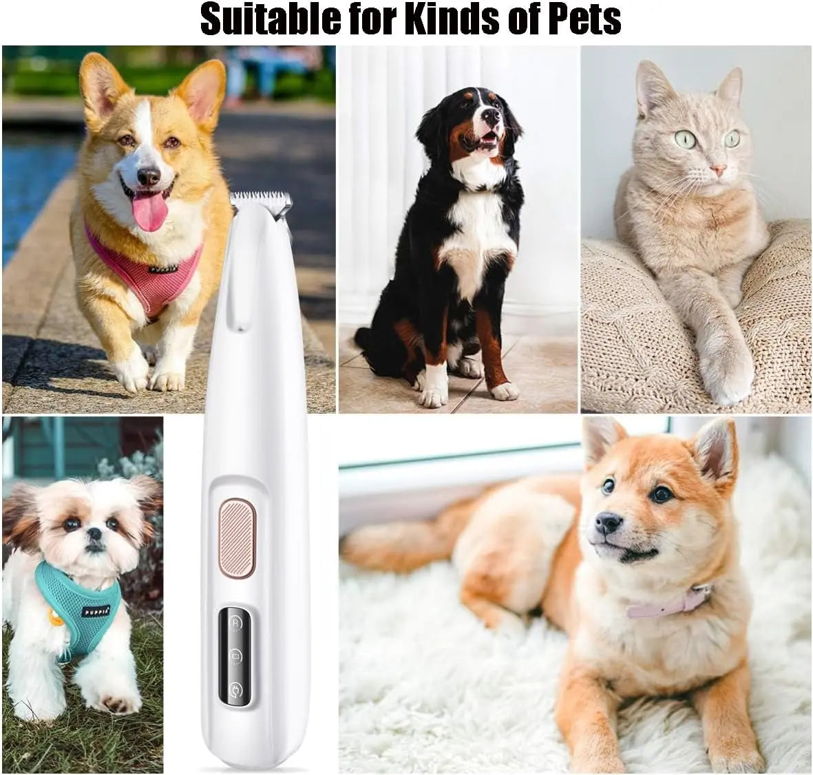 PETPUMPKIN 2025 Rechargeable Waterproof Pet Grooming Clippers for Dogs & Cats - LED Light, Washable Blade, Safe Ceramic Edge for Paws, Eyes & Ears