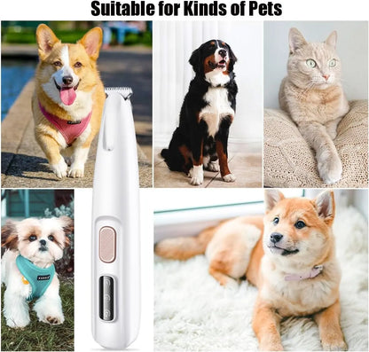PETPUMPKIN 2025 Rechargeable Waterproof Pet Grooming Clippers for Dogs & Cats - LED Light, Washable Blade, Safe Ceramic Edge for Paws, Eyes & Ears