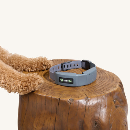 Ultimate Spoton GPS Dog Fence - Portable, Real-Time Tracking, Unlimited Fences, No Subscription Required!