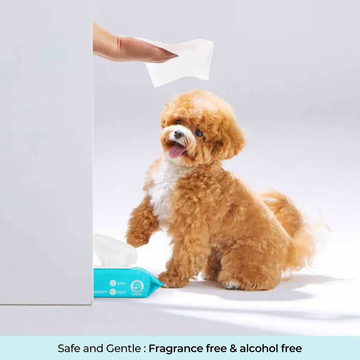 Allforpaws Coconut Vanilla Scented Pet Grooming Wipes - 100 Alcohol-Free Deodorizing Wipes with Jojoba & Coconut Oils for Safe Hydration and Odor Control