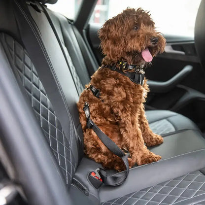 Universal Black Pet Seat Belt Tether for Standard Cars - Safety for Your Furry Friend