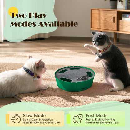 Engaging Interactive Cat Toy with Running Mouse - Automatic Track for Endless Fun!
