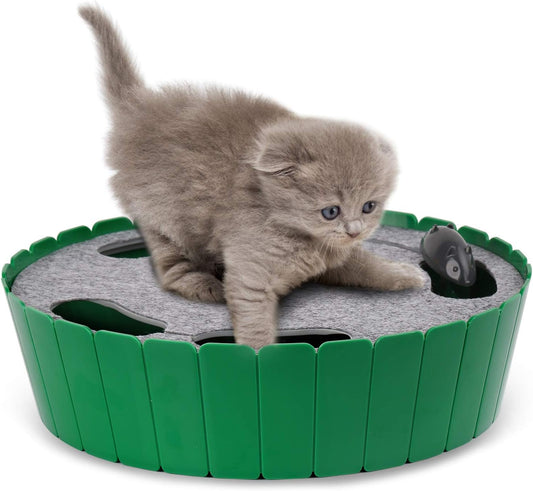 Engaging Interactive Cat Toy with Running Mouse - Automatic Track for Endless Fun!