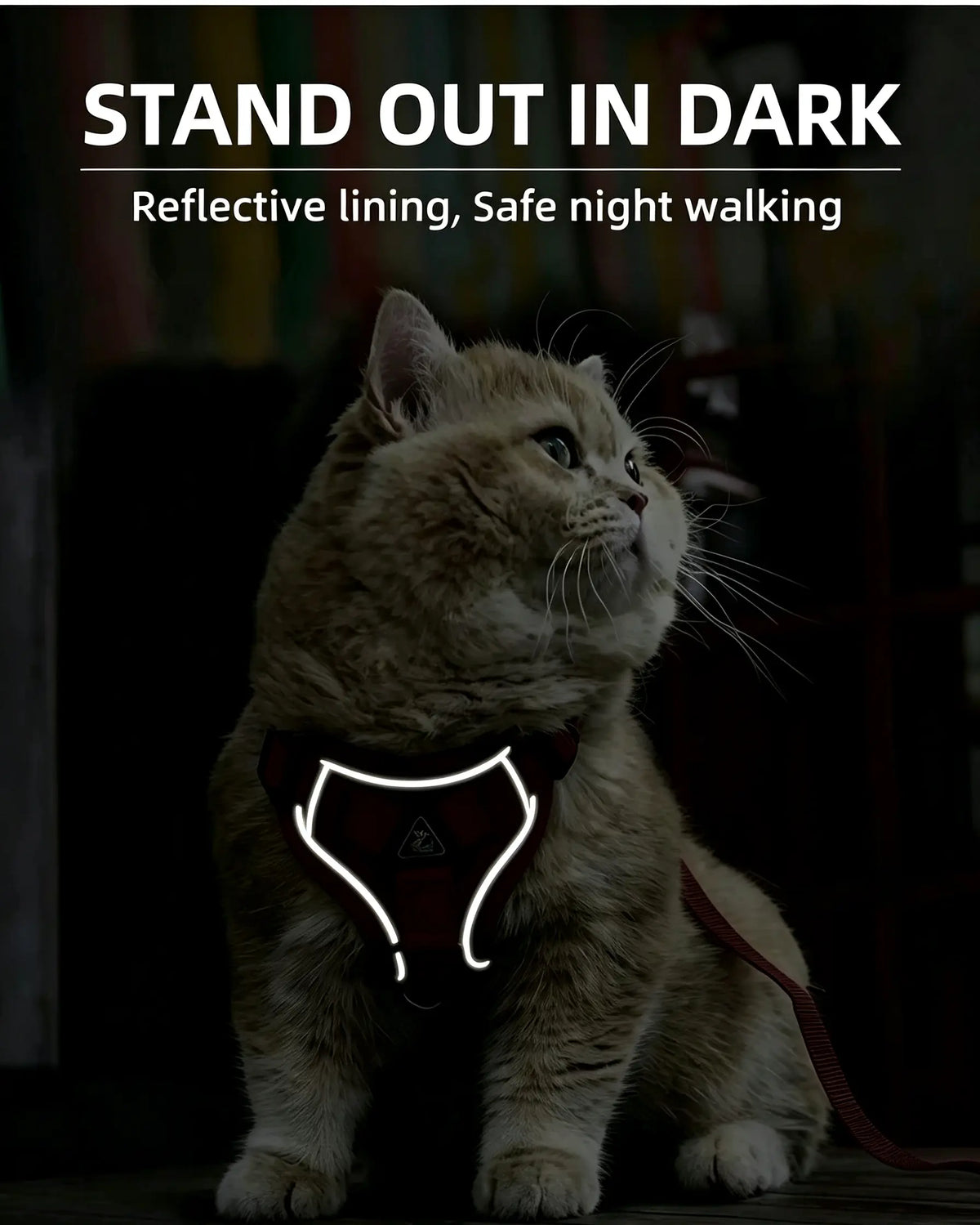 Ultimate Escape Proof Cat Harness & Leash Combo - Adjustable, Reflective, Breathable Mesh Vest for Safe Summer Walks!