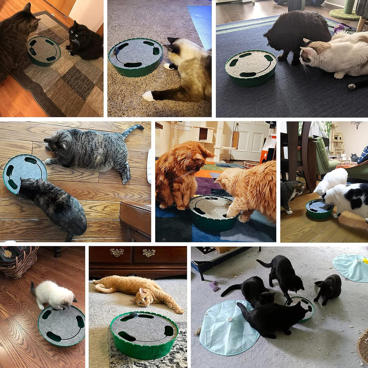 Engaging Interactive Cat Toy with Running Mouse - Automatic Track for Endless Fun!