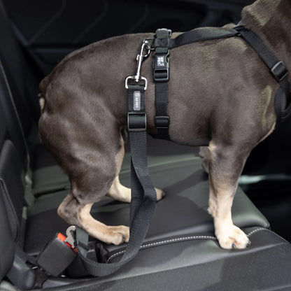 Universal Black Pet Seat Belt Tether for Standard Cars - Safety for Your Furry Friend