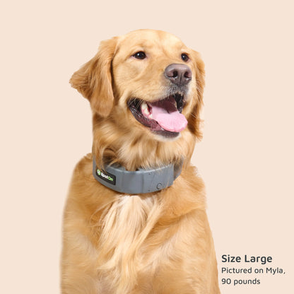 Ultimate Spoton GPS Dog Fence - Portable, Real-Time Tracking, Unlimited Fences, No Subscription Required!