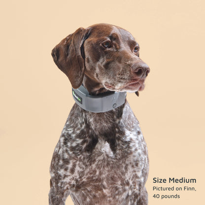 Ultimate Spoton GPS Dog Fence - Portable, Real-Time Tracking, Unlimited Fences, No Subscription Required!